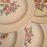 Amandinoise flowered dinner plates