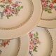 Amandinoise flowered dinner plates