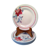 5 plates Digoin Sarreguemines