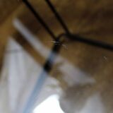 Nesting tables by Max Sauze, Isocèle edition