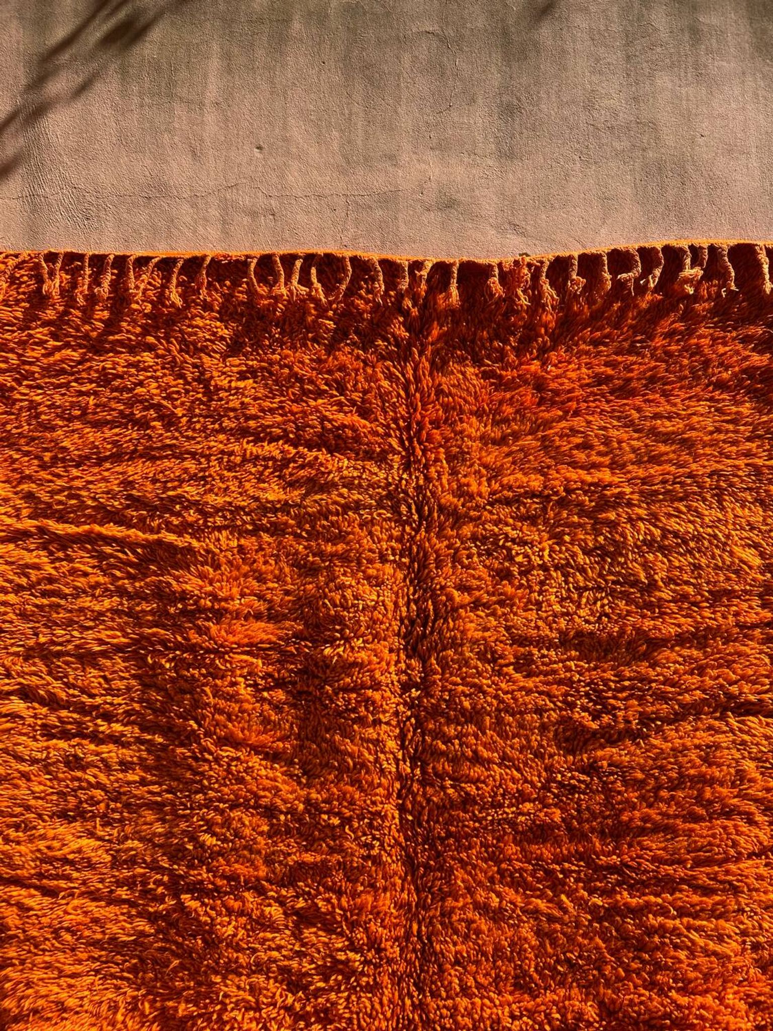 Orange Grove Rug 200x300cm