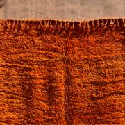 Orange Grove Rug 200x300cm