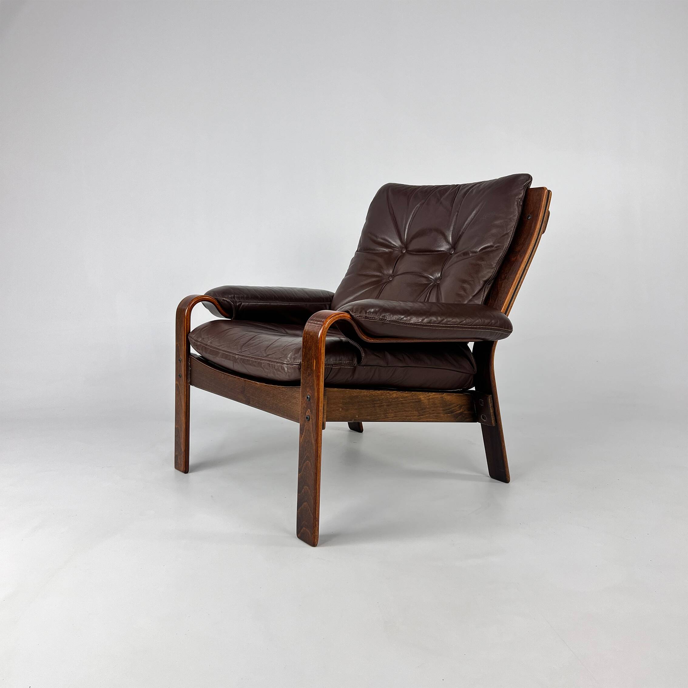 Mid-Century Scandinavian Leather and Bentwood Lounge Chair, 1960s