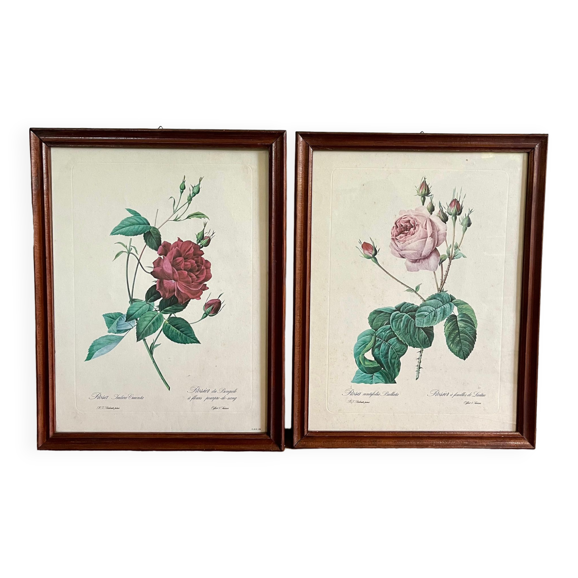 Framed pink botanical posters