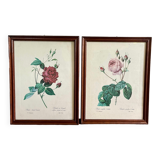 Framed pink botanical posters