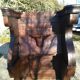 Fauteuil stalle d'eglise