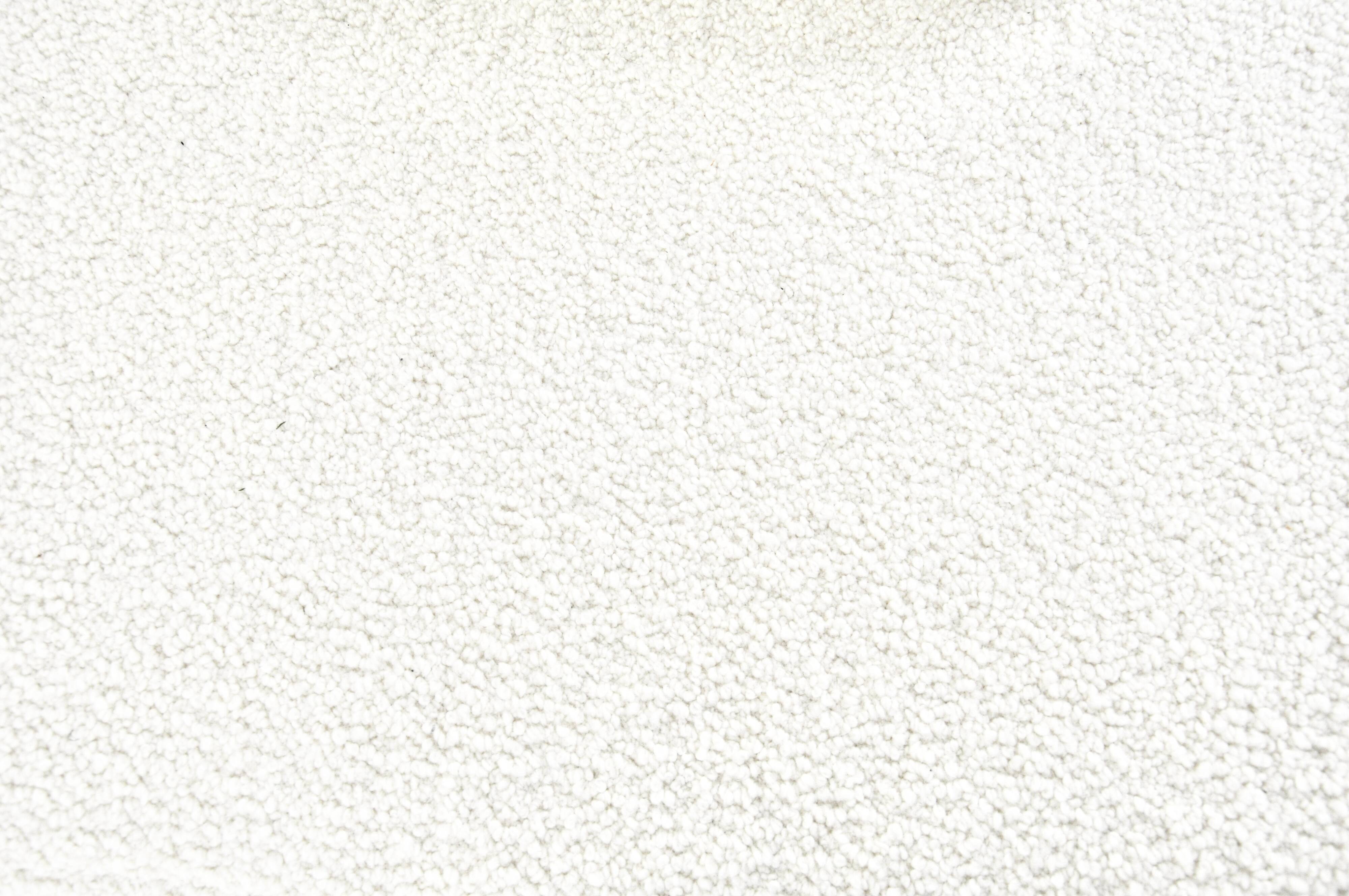 Roberto Pamio Style Sofa, Noti Massari and Renato Toso for Stilwood, 1960s