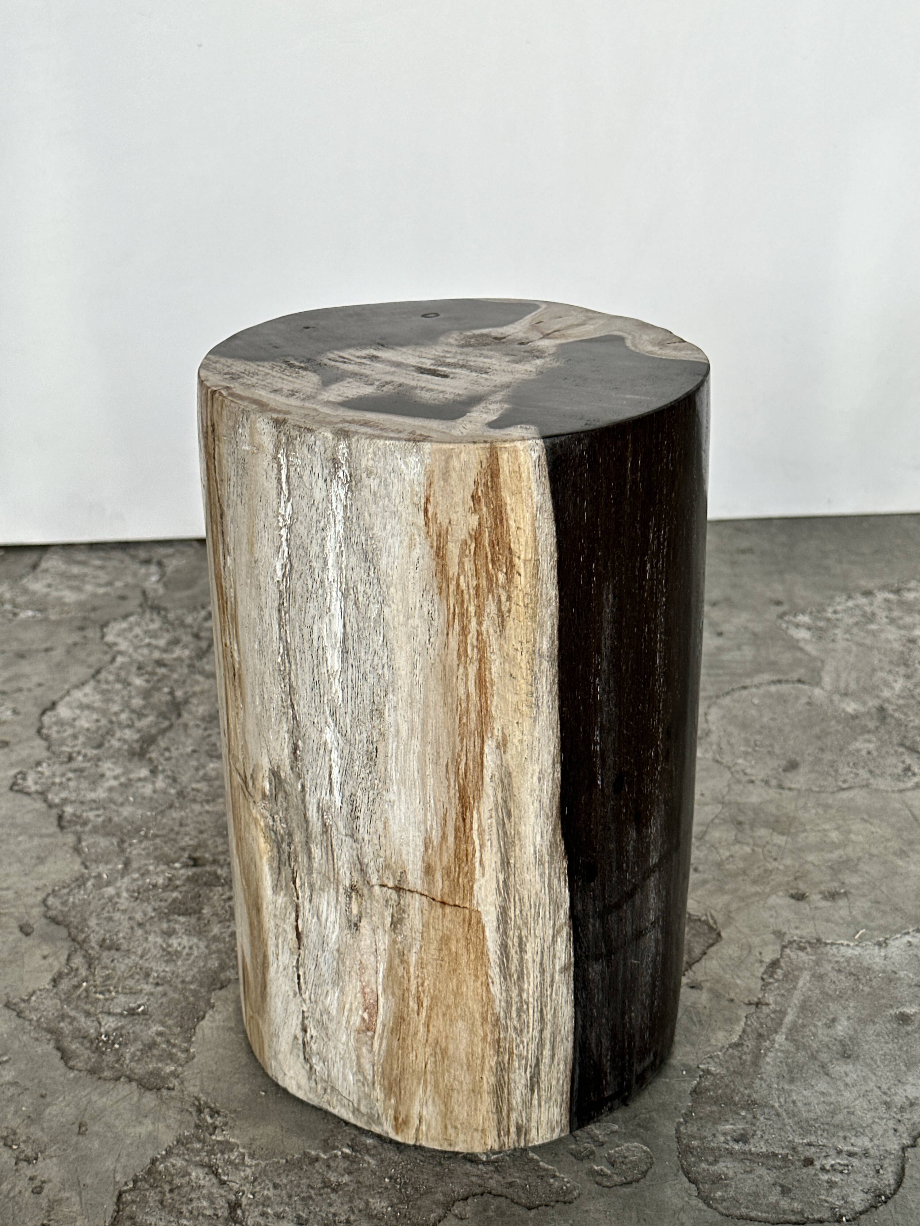 Small black, white and gray petrified wood side table H28cm D:18.5