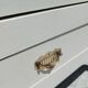 White art deco Parisian wardrobe