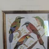 Lithographic frame of birds