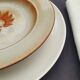 Série de 9 assiettes creuses grès de l'étang