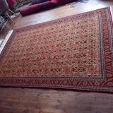Handmade Shirvan Caucasian Rug 283x200ccm