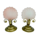 Pair of vintage brushed glass and brass shell lamps