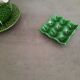 Small egg dish
