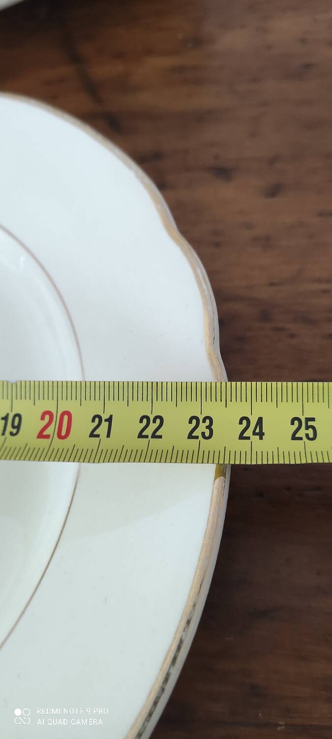 Villeroy and Boch dinner plate set