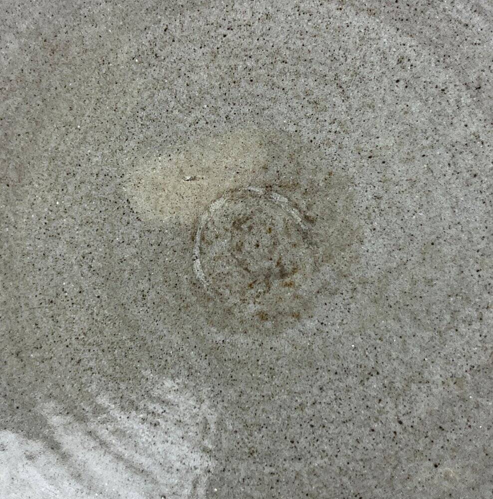 Vintage wall plate in West German pottery with rooster design, 1970s.