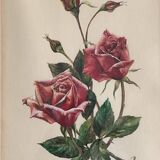 Flower frame