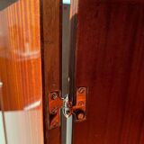 Tall Art Deco Cabinet in Macassar Veneer and Mahogany, France, 1930s