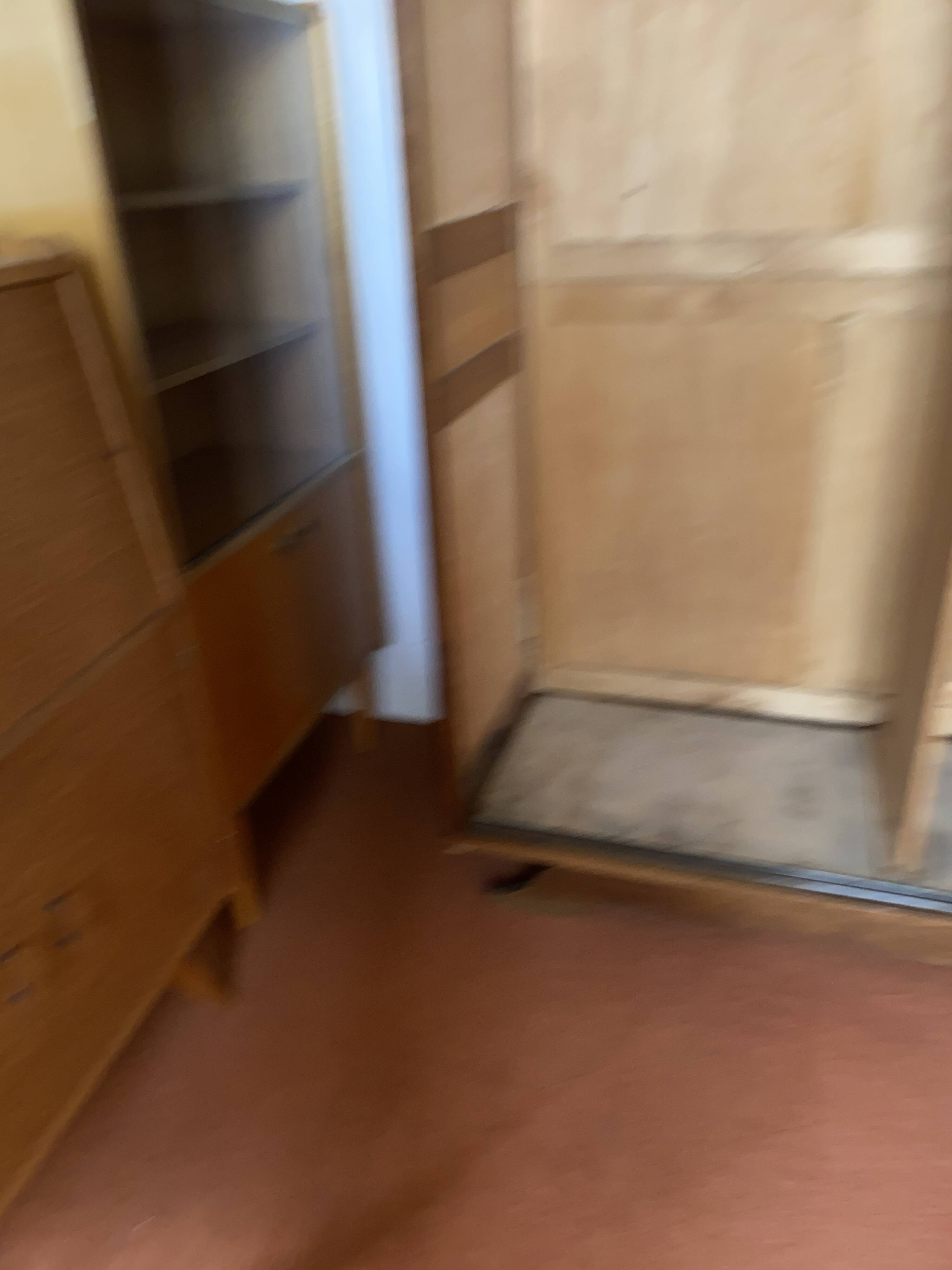 Vintage Parisian wardrobe with sliding doors