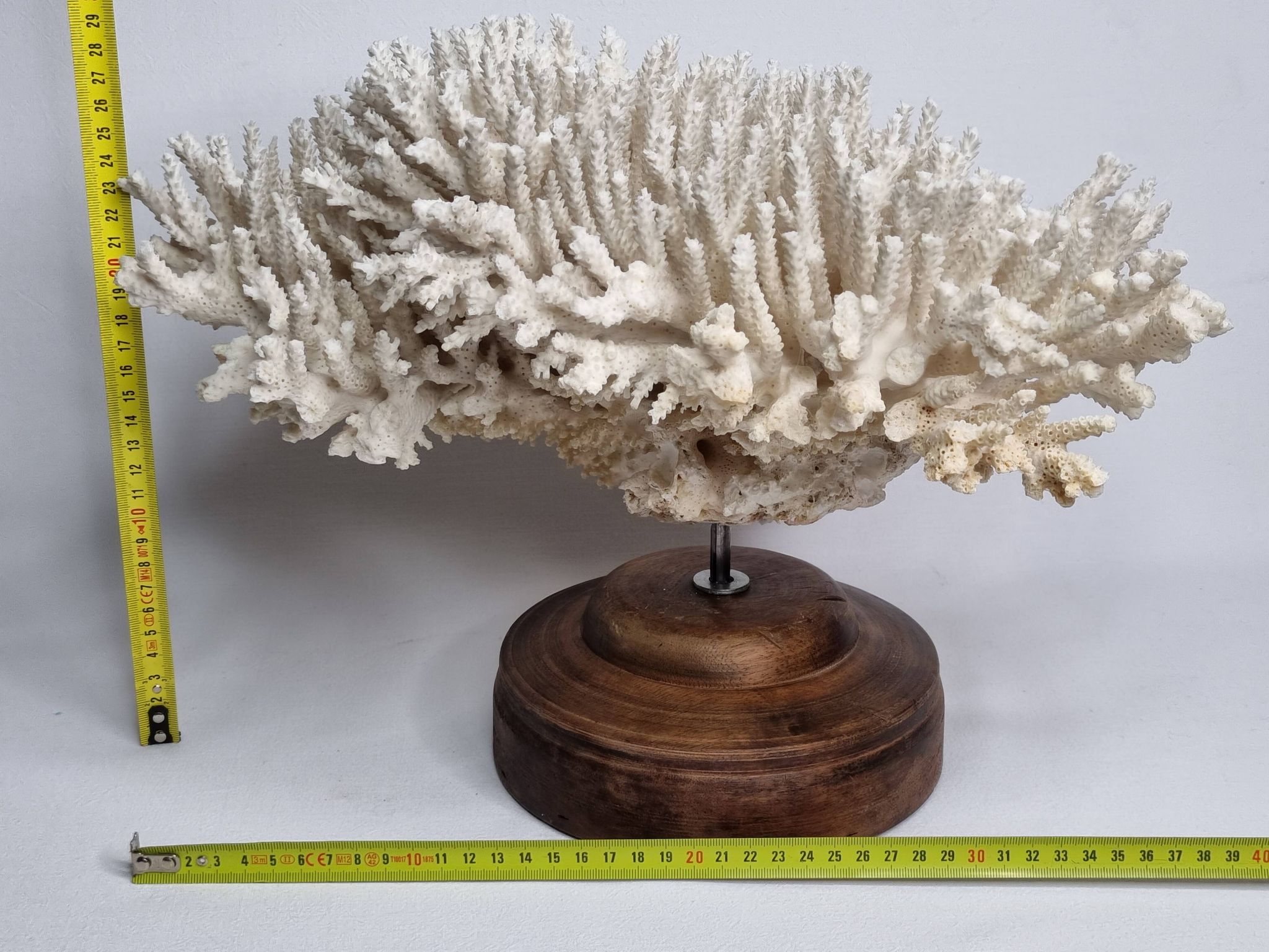 Ancien corail naturel blanc sur socle en bois tourné 41 cm