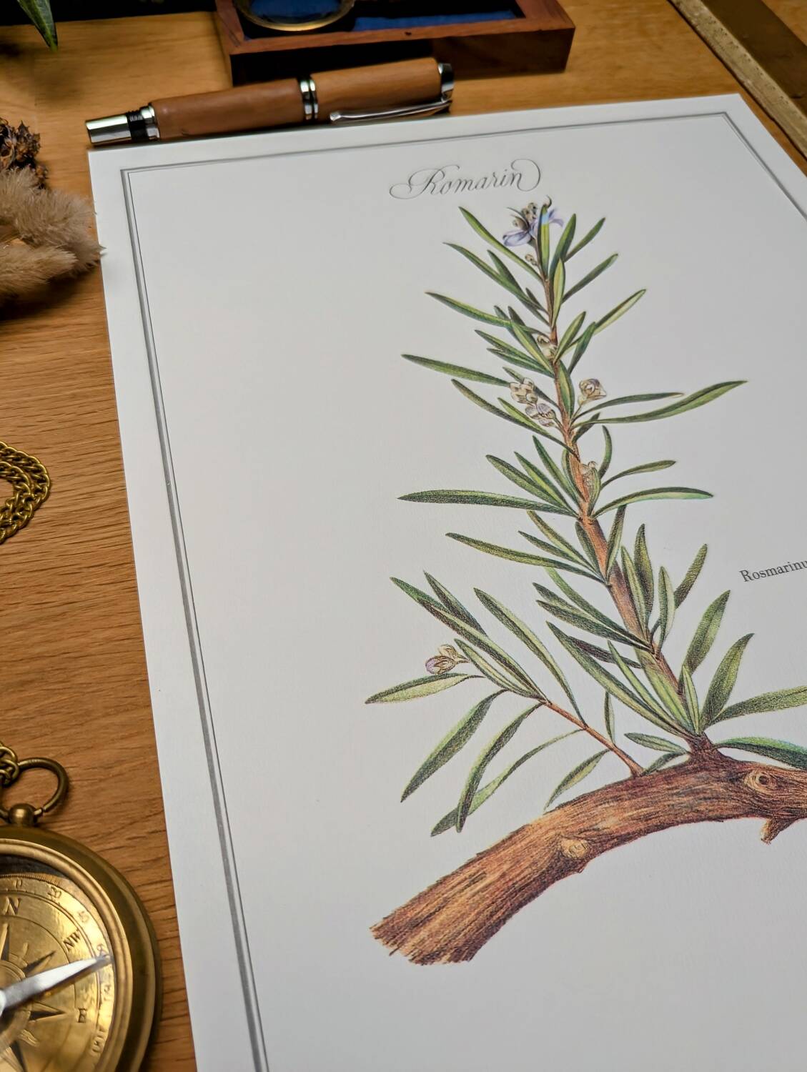 Printed in 1986, Le Romarin.