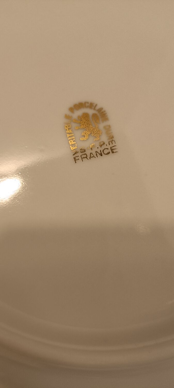 6 hollow plates "sfp france"