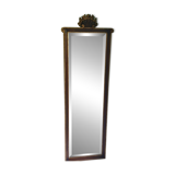 Psyche mirror