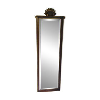 Psyche mirror
