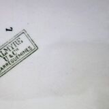 Large oval ironstone platter "Palmyre" Sarreguemines