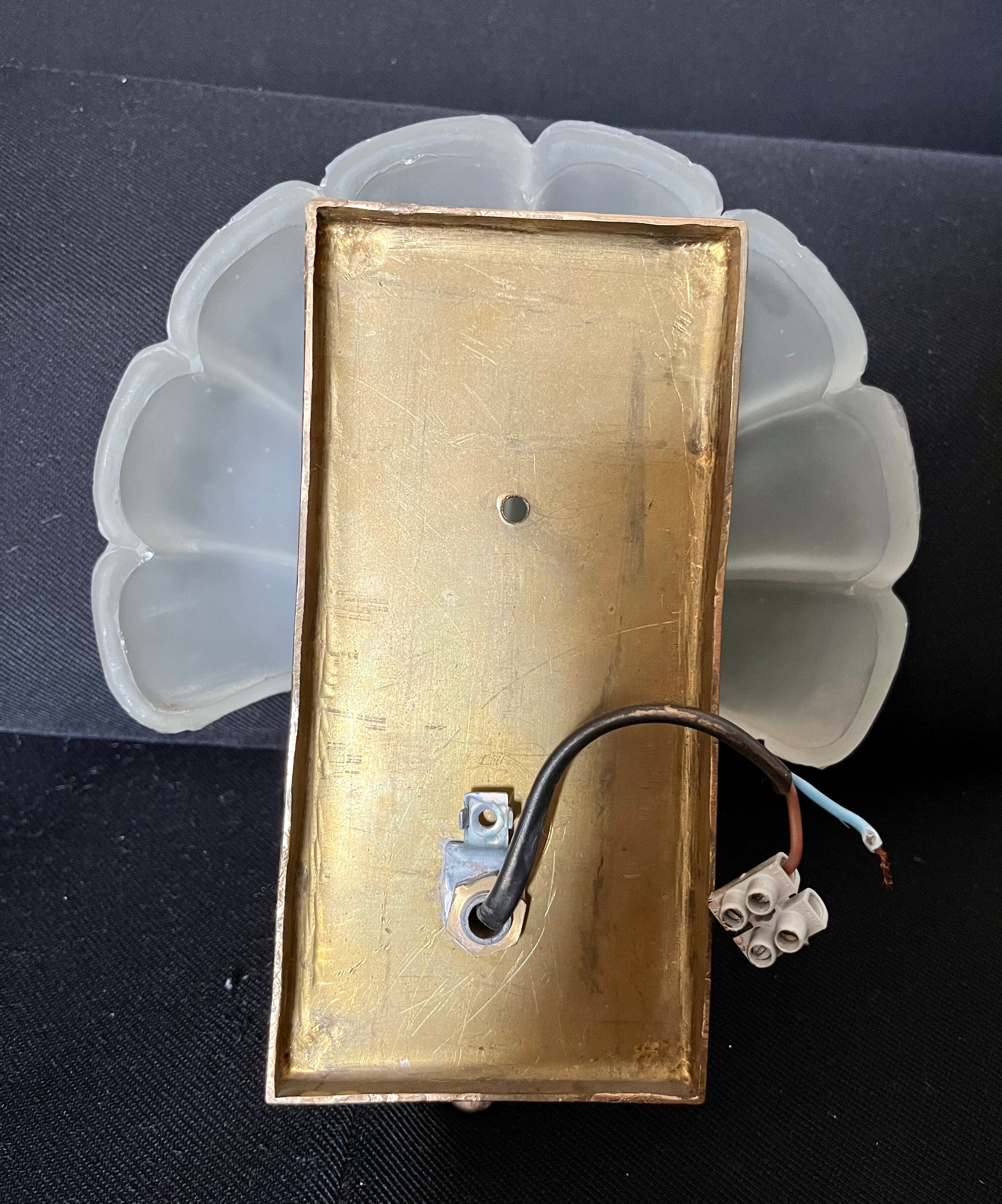 Shell wall lamp