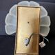 Shell wall lamp