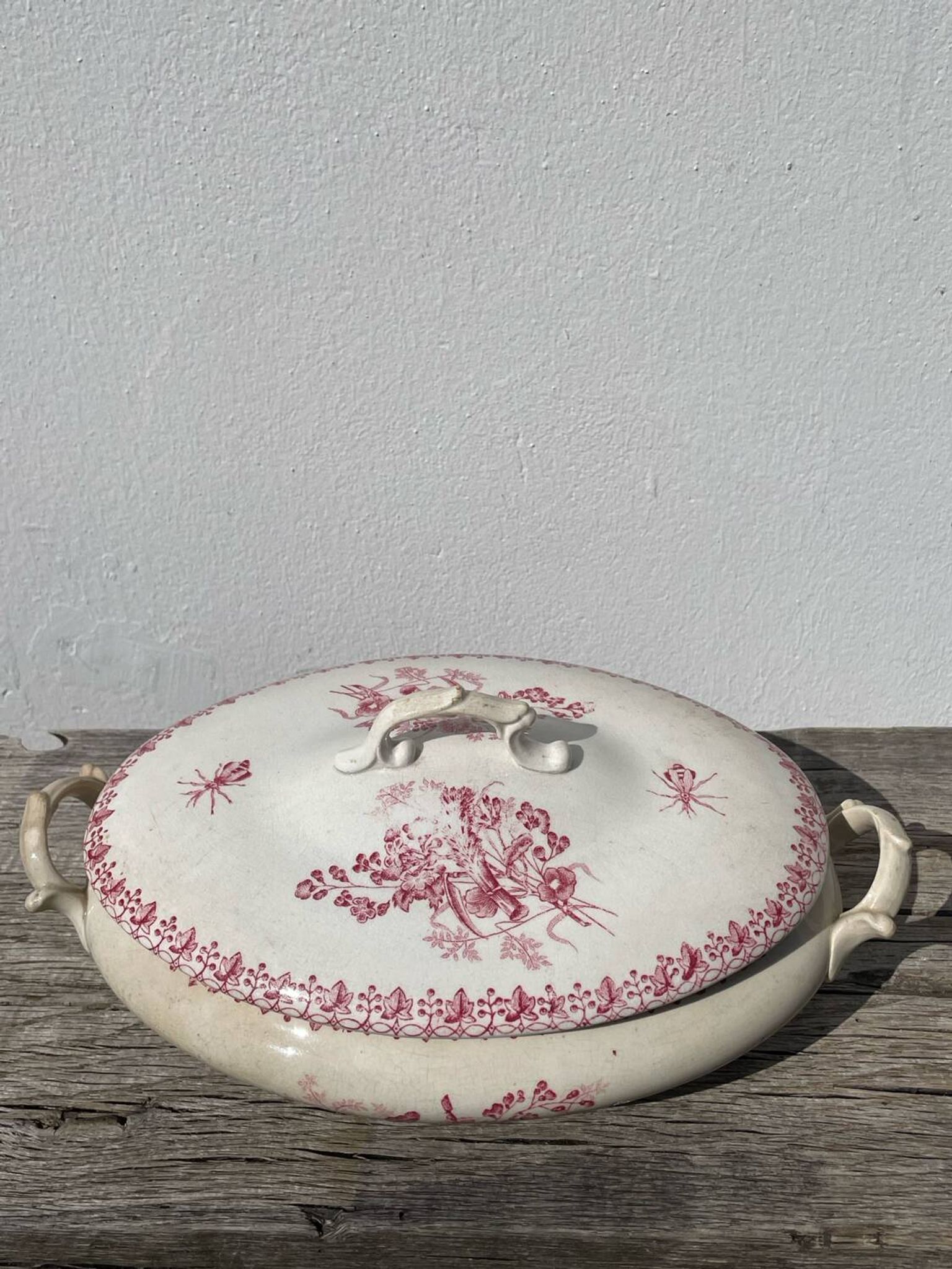 Onnaing iron clay soup tureen, Moisson model