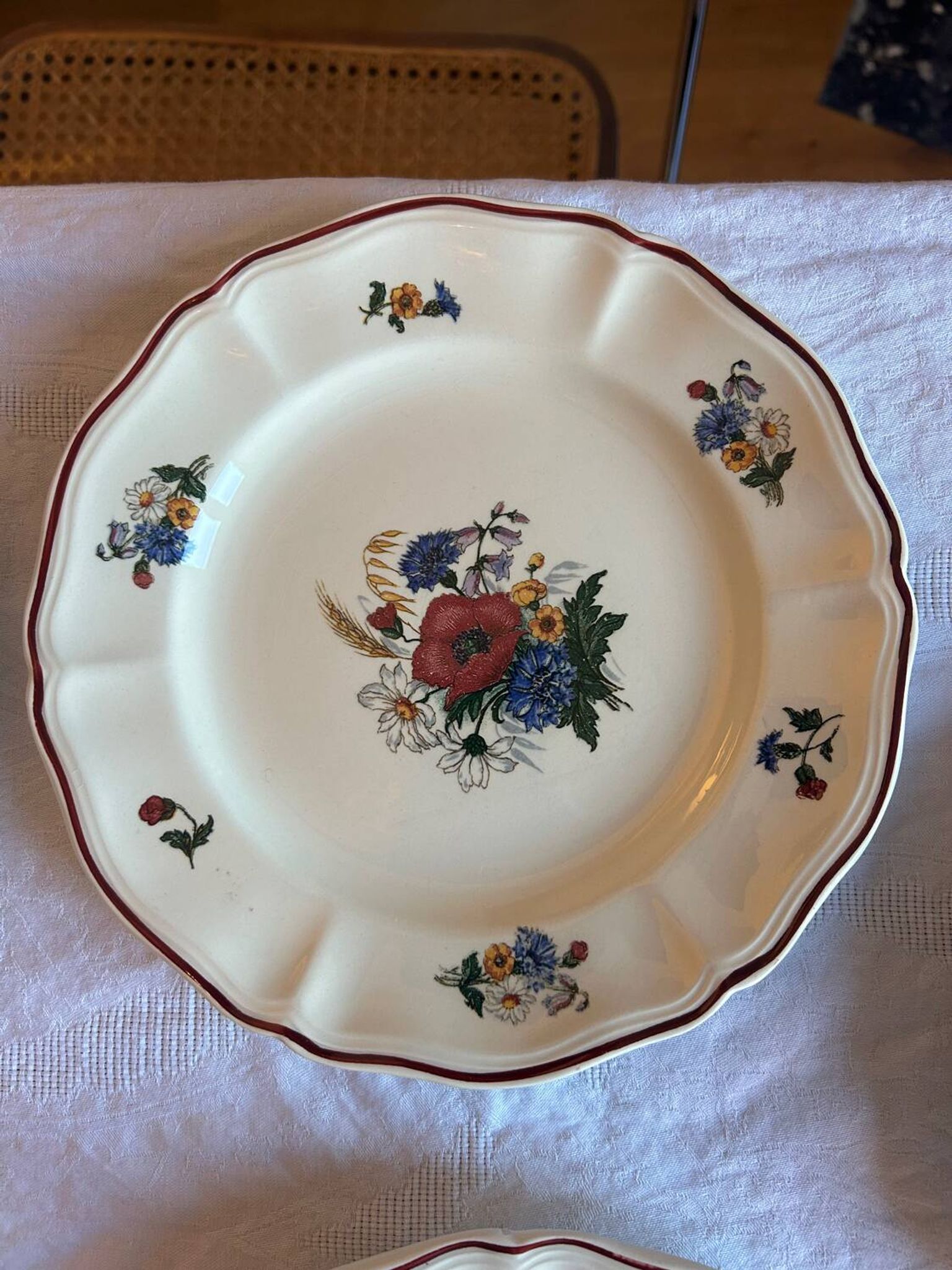 Set of 11 antique plates in Sarreguemines earthenware – Agre decoration