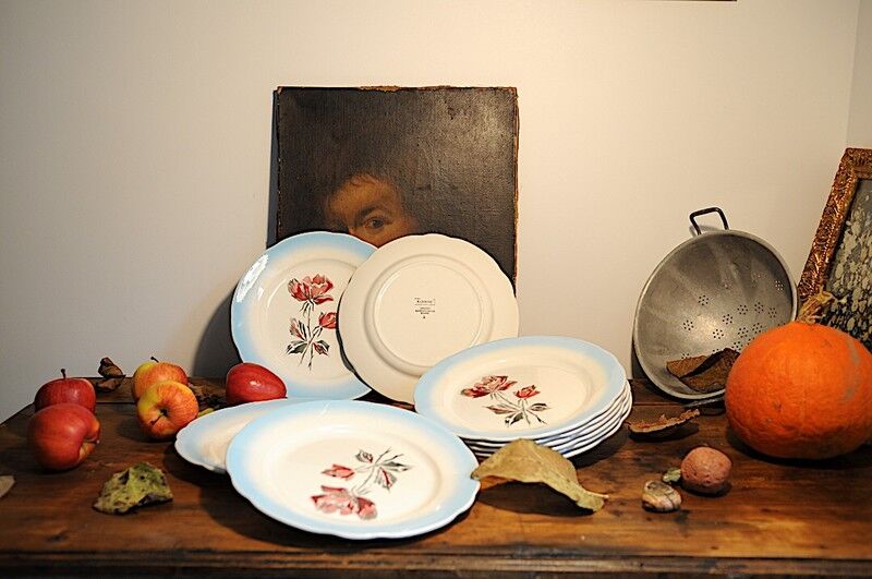 Lot plates Digoin Sarreguemines