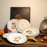 Lot assiettes Digoin Sarreguemines