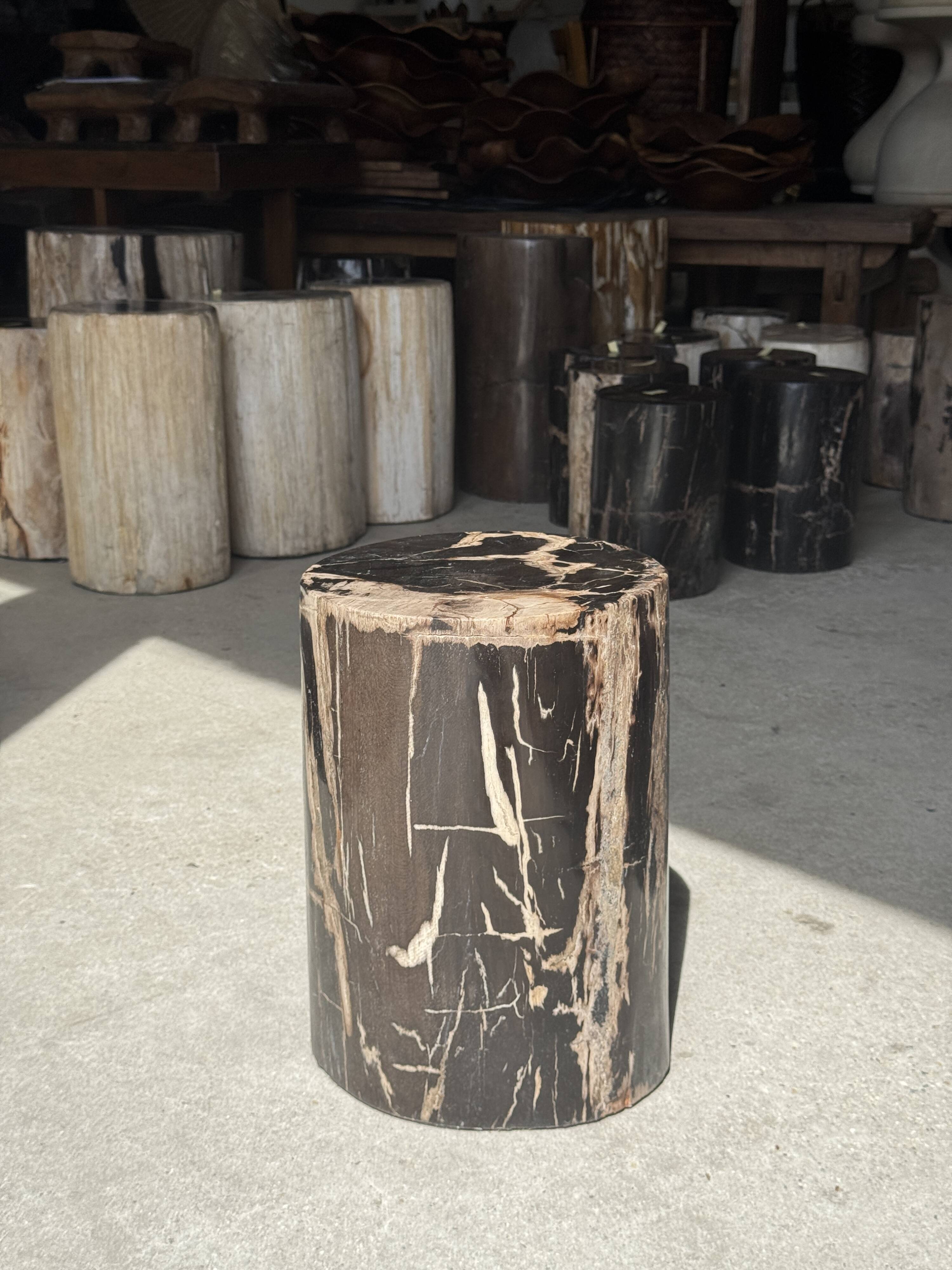 Black petrified wood side table with beige stripes and a semicircular shape.
