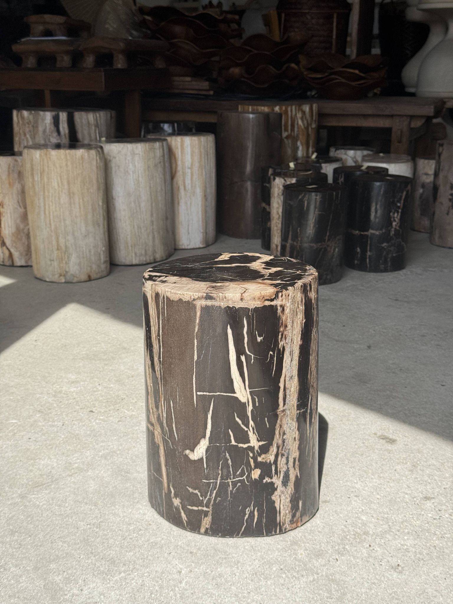 Black petrified wood side table with beige stripes and a semicircular shape.