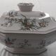 Lallier earthenware soup tureen in Moustiers