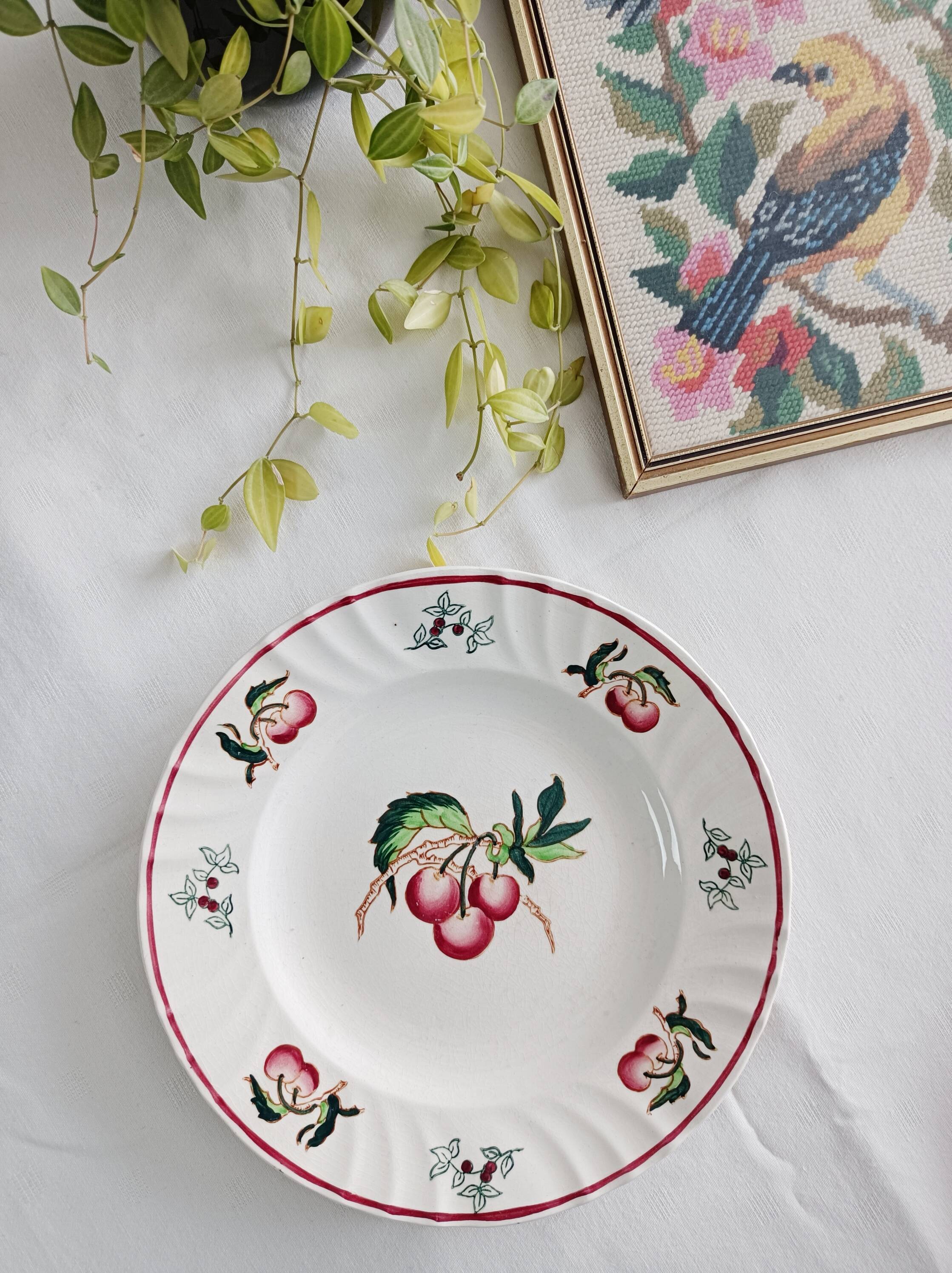 Set of 2 Longwy Montmorency flat plates