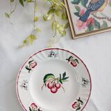 Set of 2 Longwy Montmorency flat plates