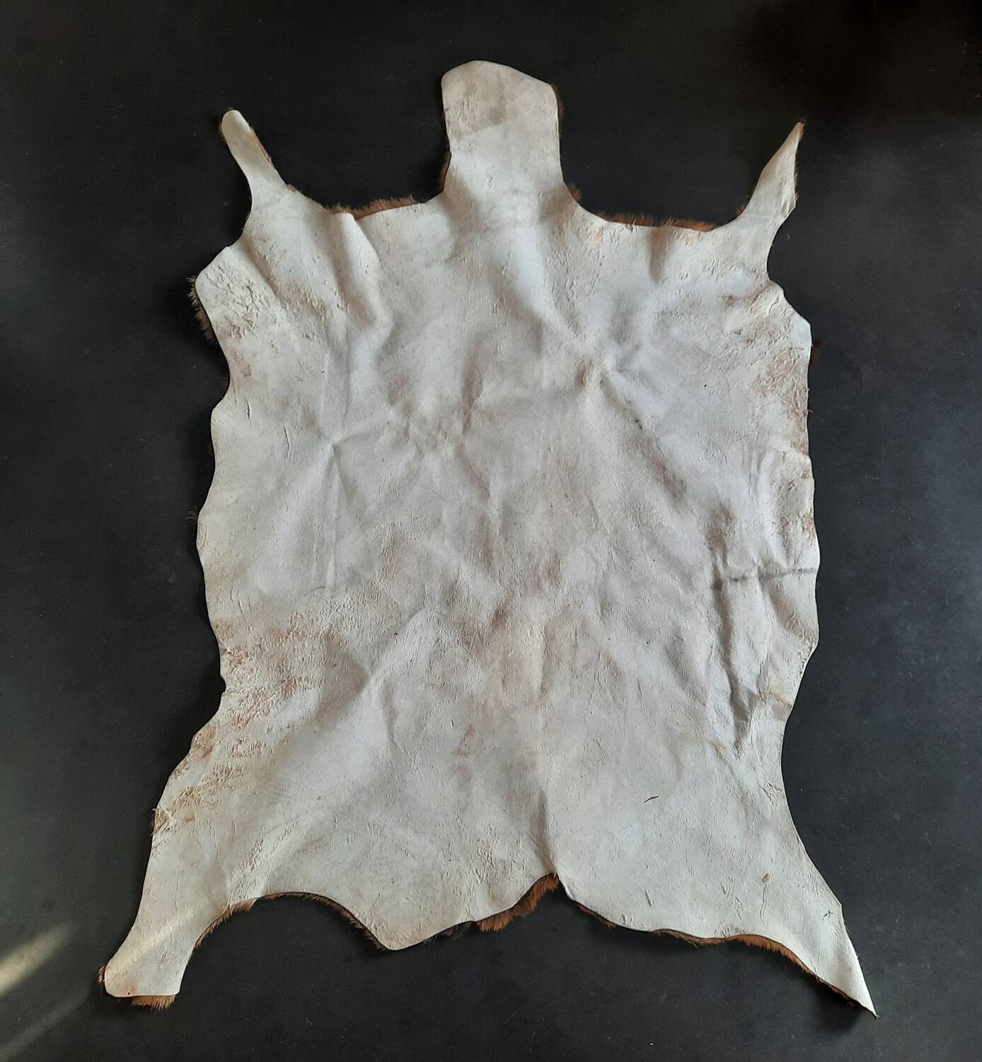 Goat skin 135 cm x 88 cm