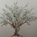 Painting signed watercolor Provençal landscape “the olive tree”