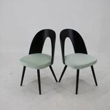 Ensemble de quatre chaises de salle à manger Antonin Suman des années 1960, Tchécoslovaquie