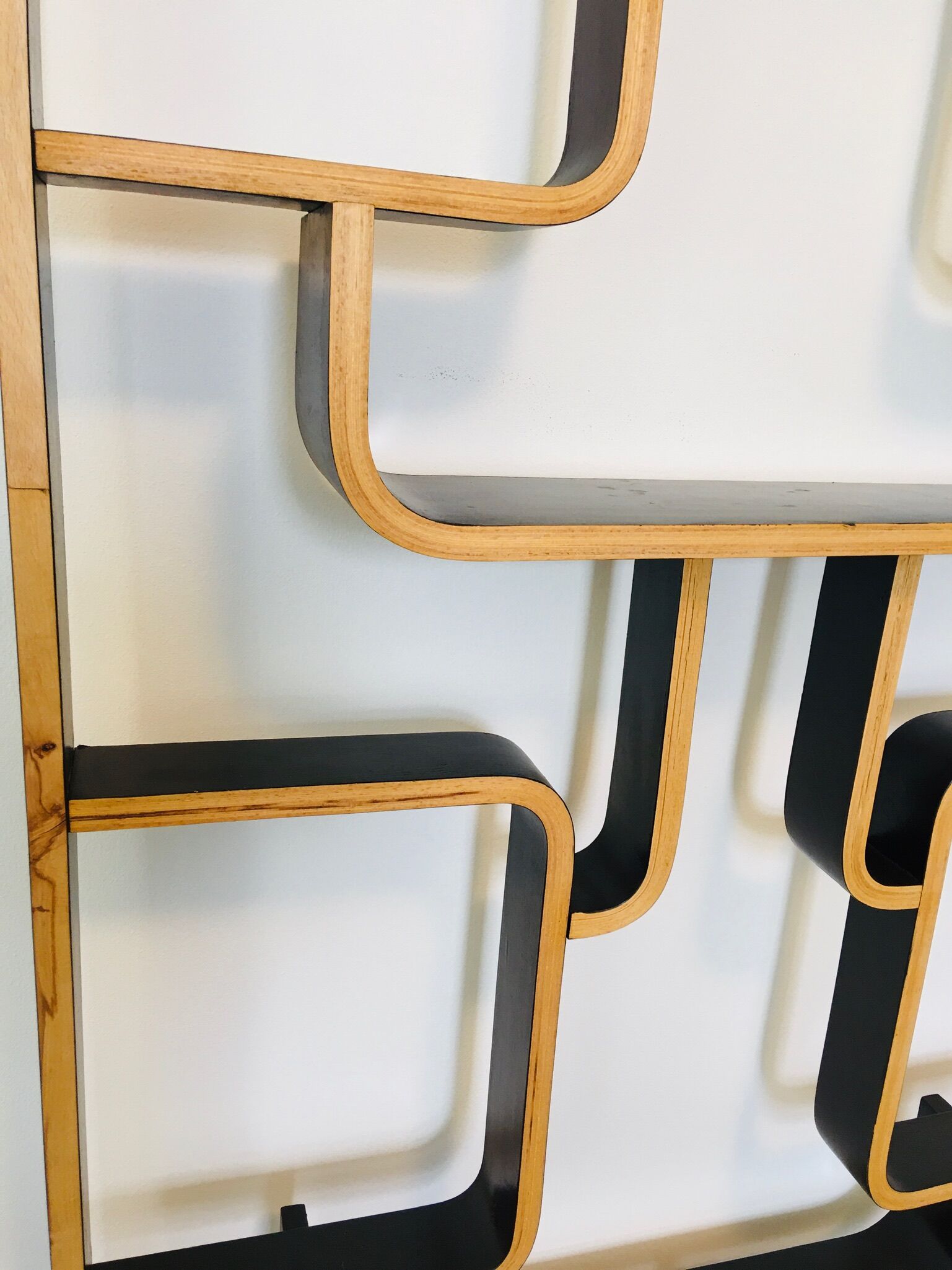 Mid-Century Room Divider by Ludvik Volak for Drevopodnik Holesov, 1960s
