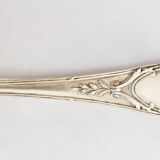 Silver-plated metal sugar or ice cube tongs, lion paws (ref 4)