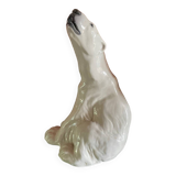 Porcelain