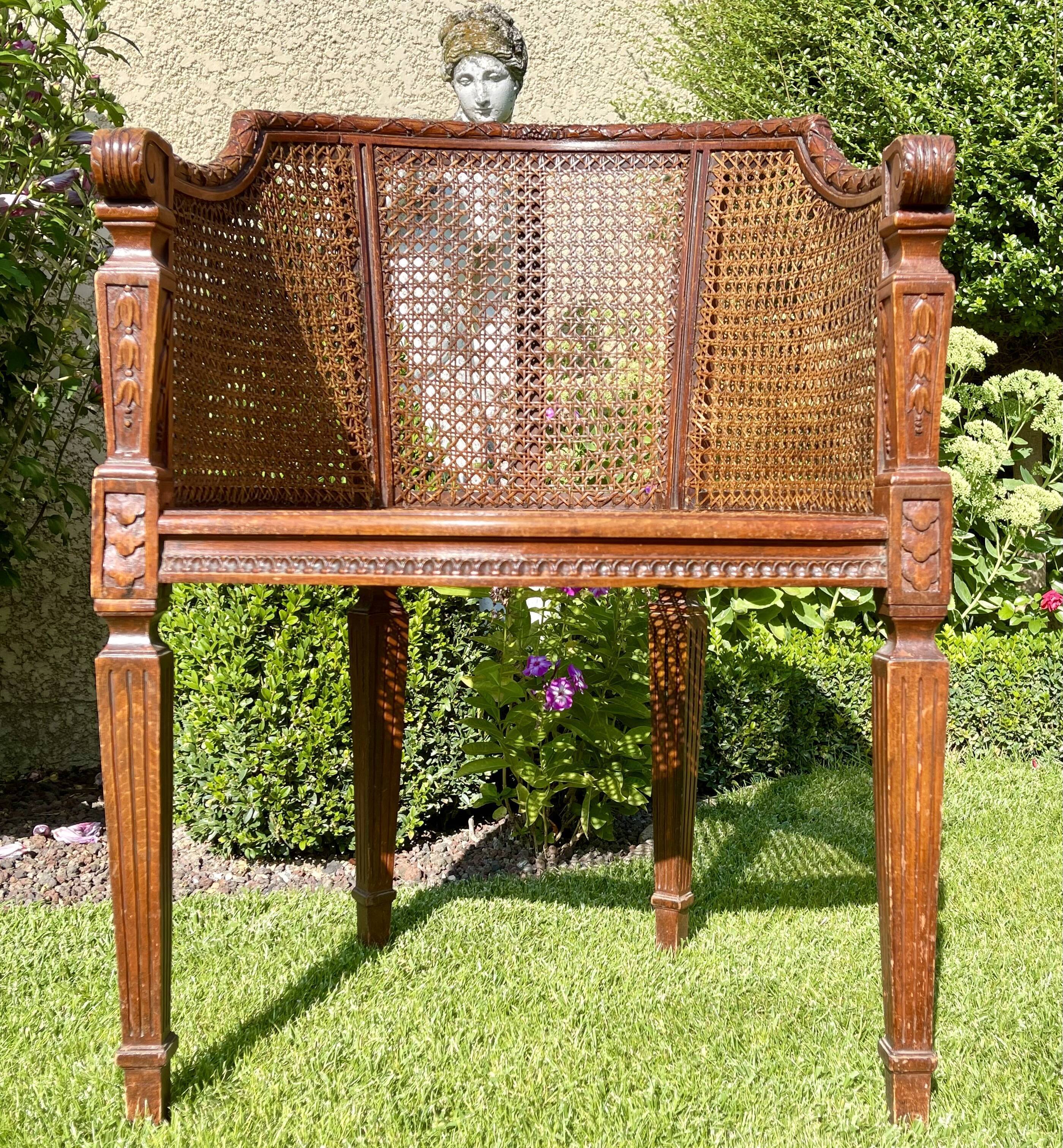 Armchair in Fruit Wood and Cannage Style Louis XVI