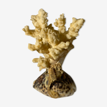 Sculpture ancienne corail coquillage et hyppocampe souvenir vintage pacifique