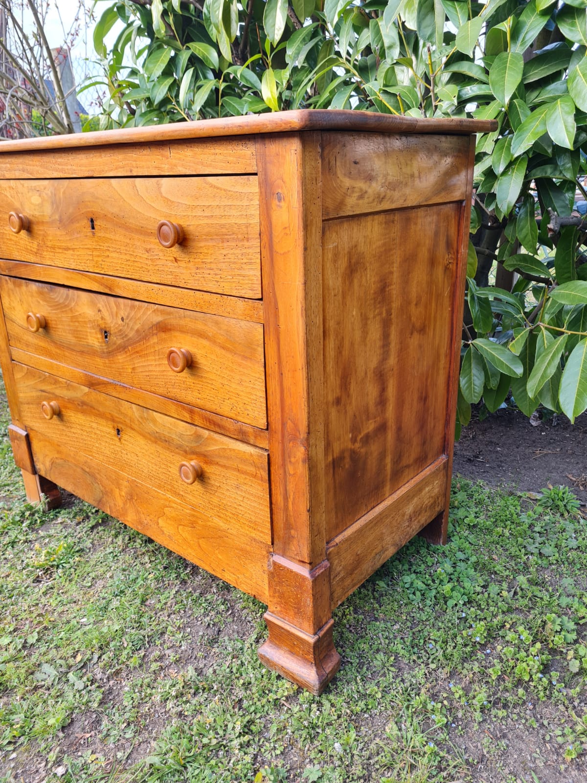 English dresser in solid walnut