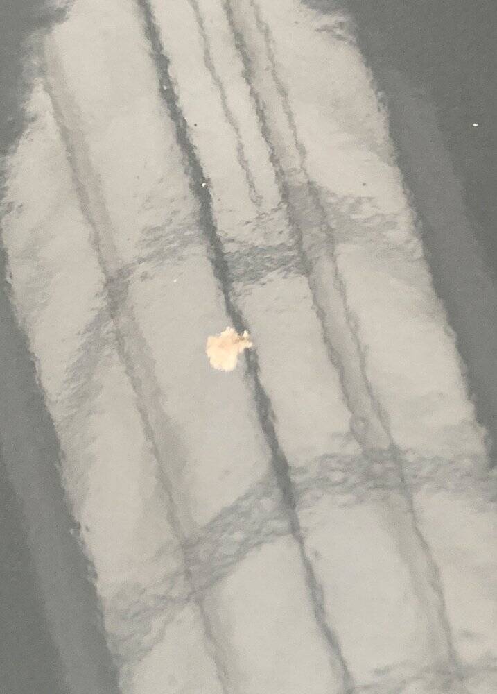 Suspension Atelier Enamel Mid-Century, 1960s